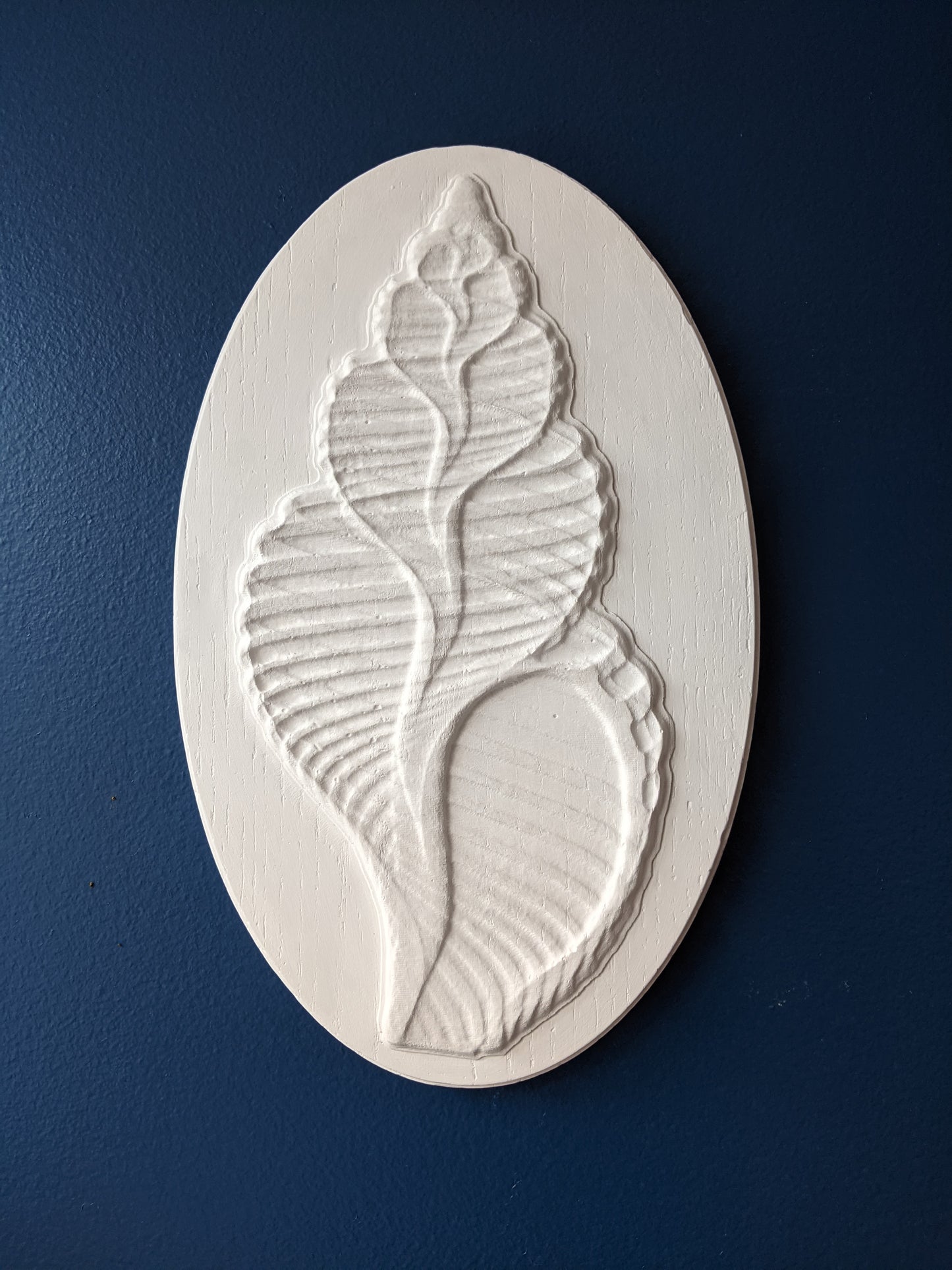 Seashell Bas Relief Sculpture - Blitz Tree Studio