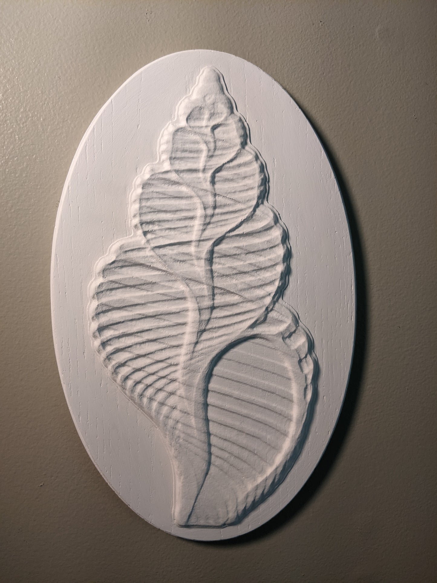 Inner Shell - Seashell Bas Relief Sculpture