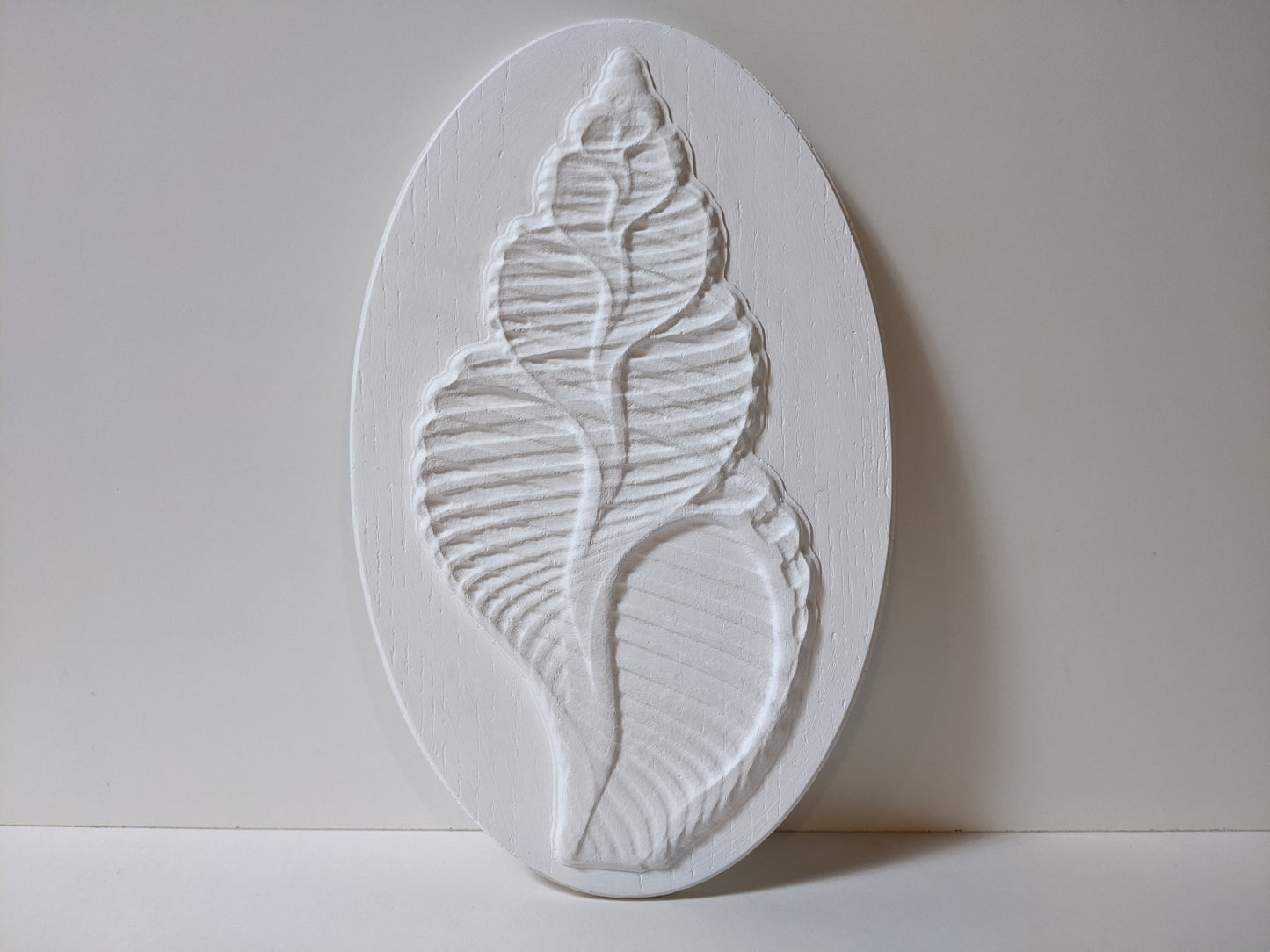Inner Shell - Seashell Bas Relief Sculpture