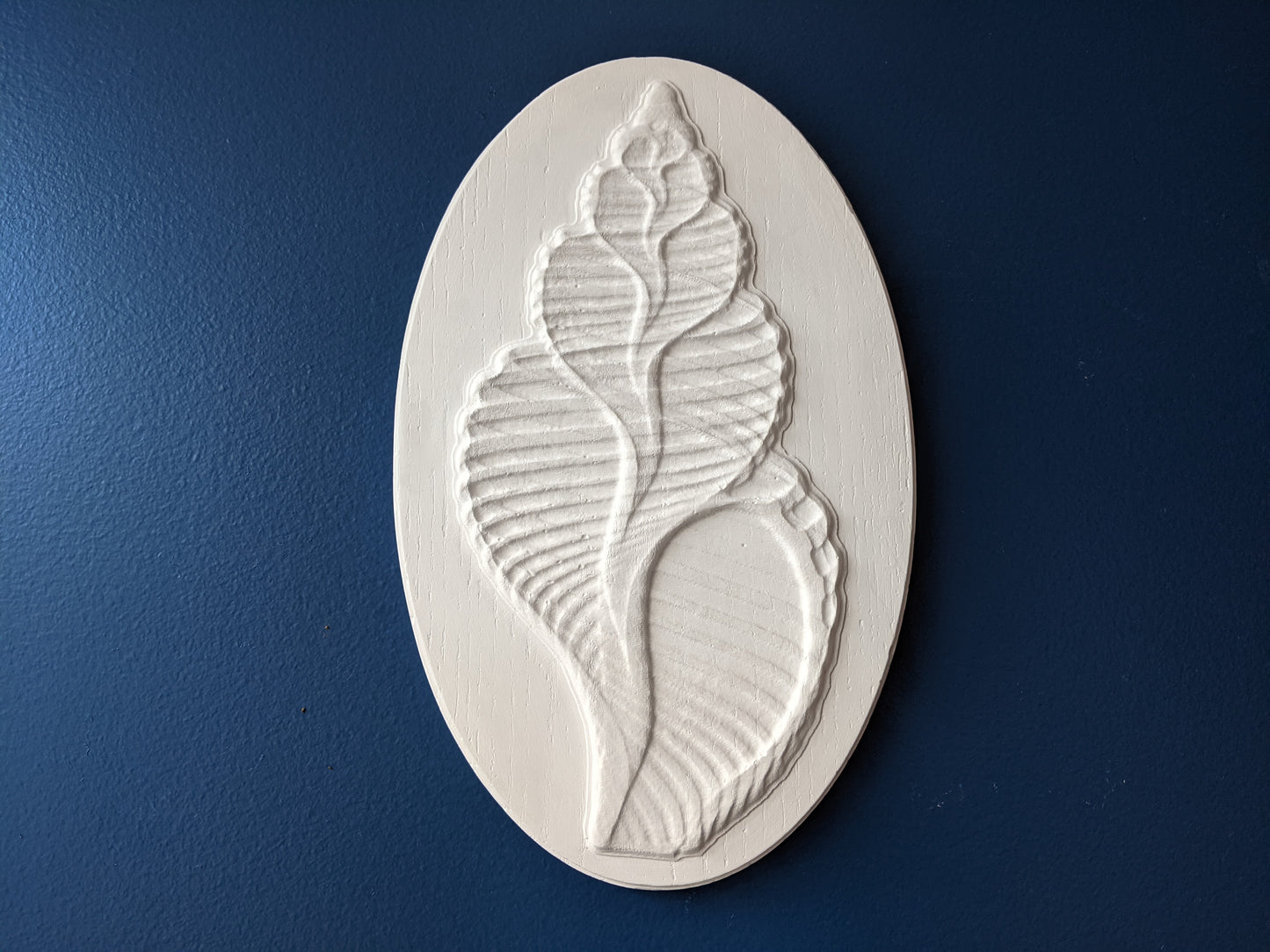 Seashell Bas Relief Sculpture - Blitz Tree Studio