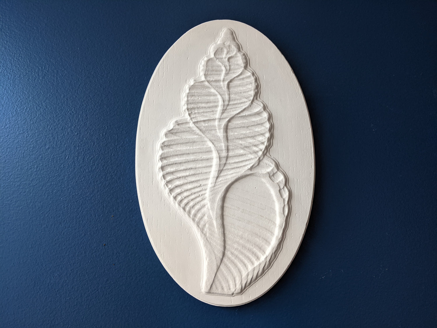 Seashell Bas Relief Sculpture - Blitz Tree Studio
